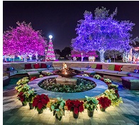 Most Instagrammable Locations in Dallas Fort Worth this Christmas