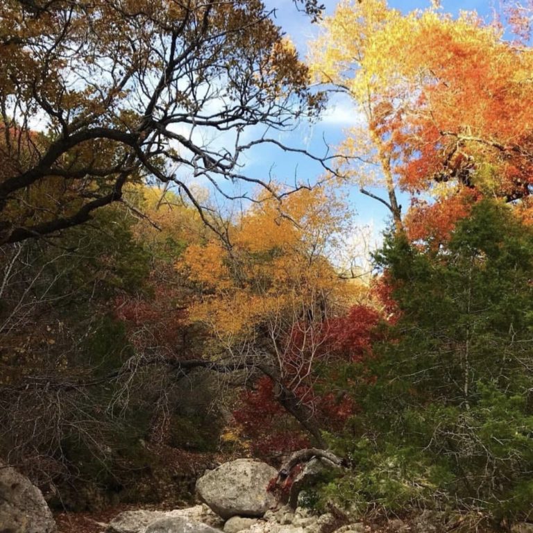 Top 10 Texas Day Trips to Take This Fall
