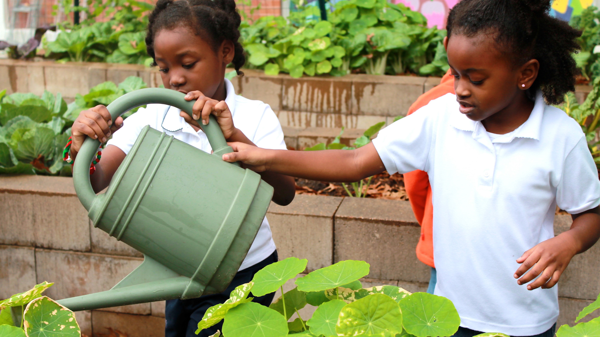 Shaping Houston: Tyler Froberg