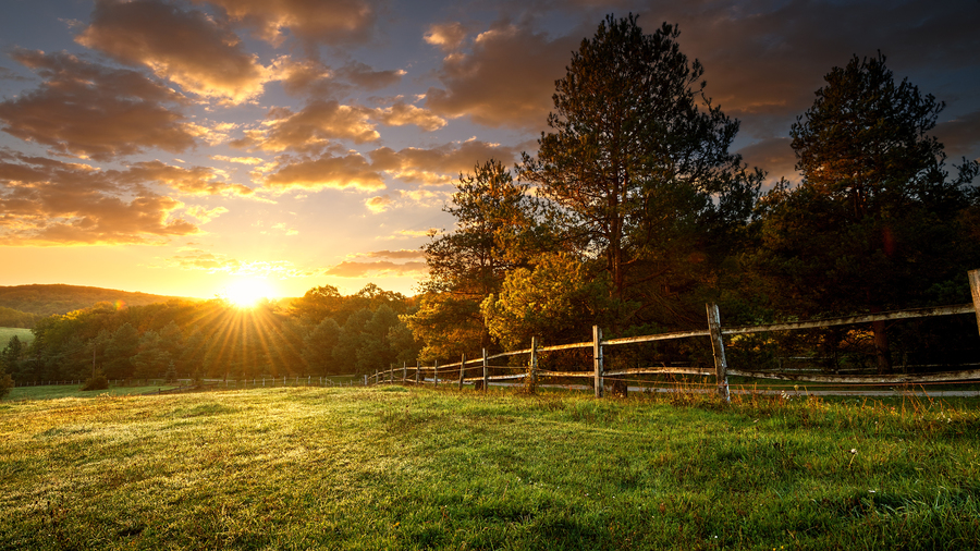 Facts about the June Summer Solstice you might not know